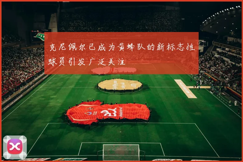 克尼佩尔已成为黄蜂队的新标志性球员引发广泛关注