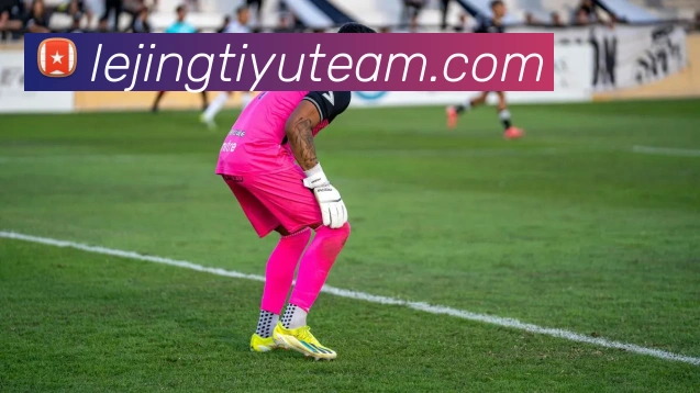 App Interface Preview